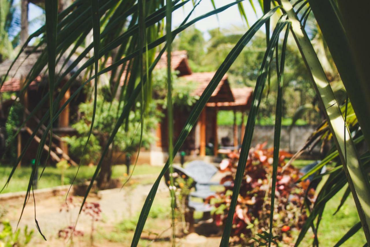 Clay House Hotel Udawalawe Exterior photo
